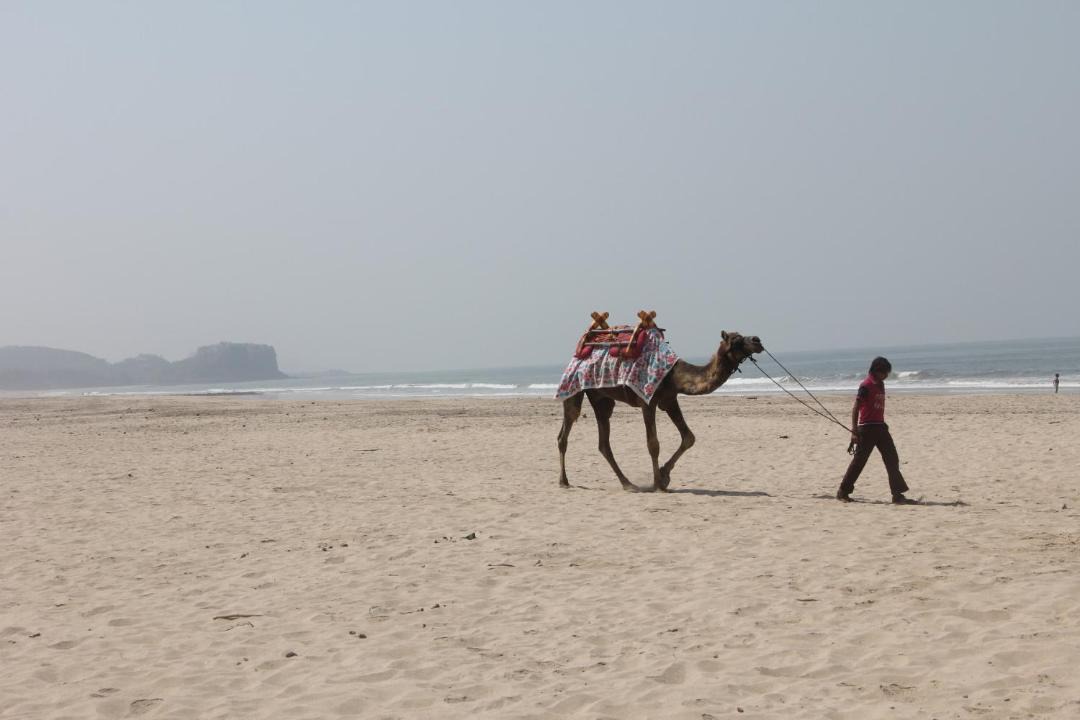 Photo of Others in Murud