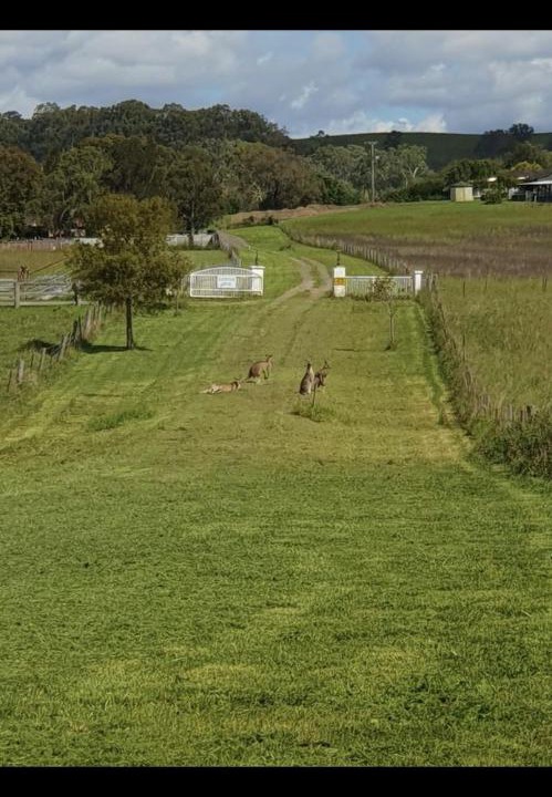 Photo of Others in Hunter Valley