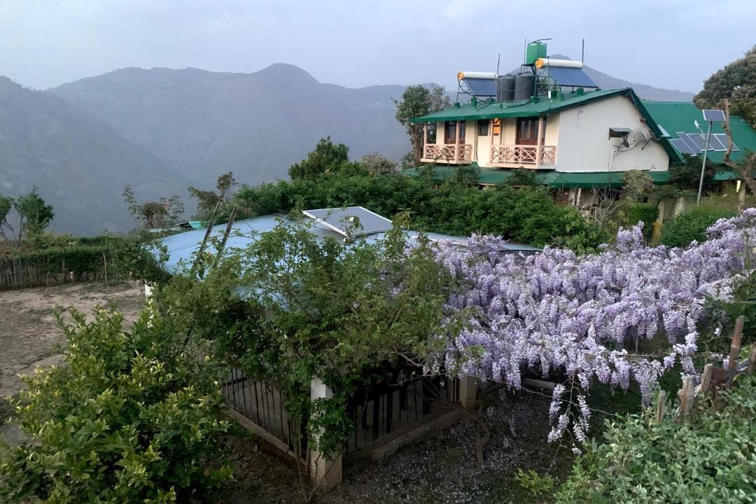 Photo of Others in Bhimtal