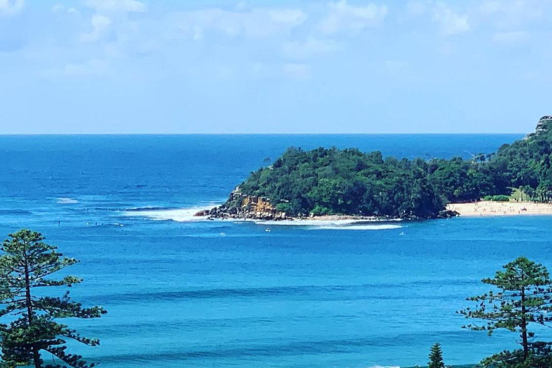 Photo of Others in Manly