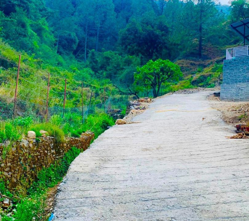 Photo of Others in Tehri