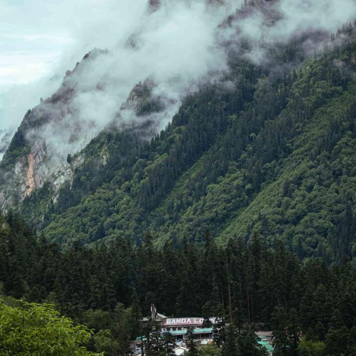Photo of Outdoor in Ghangaria
