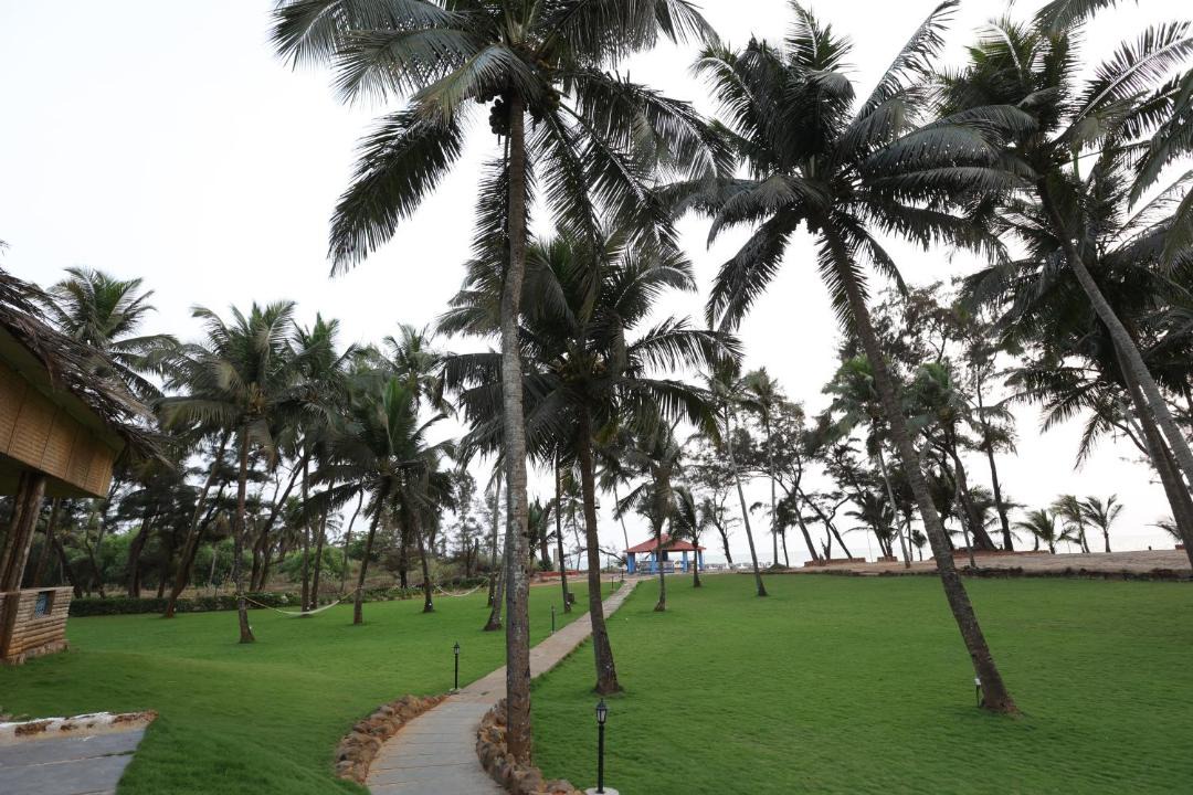 Photo of Others in Colva