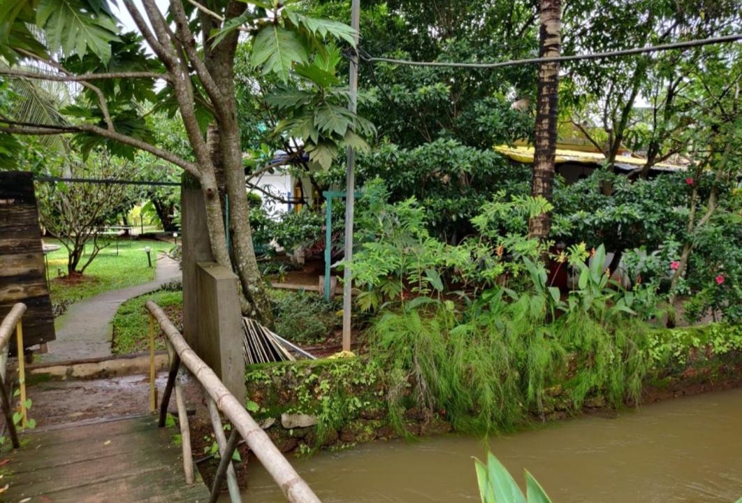 Photo of Others in Anjuna
