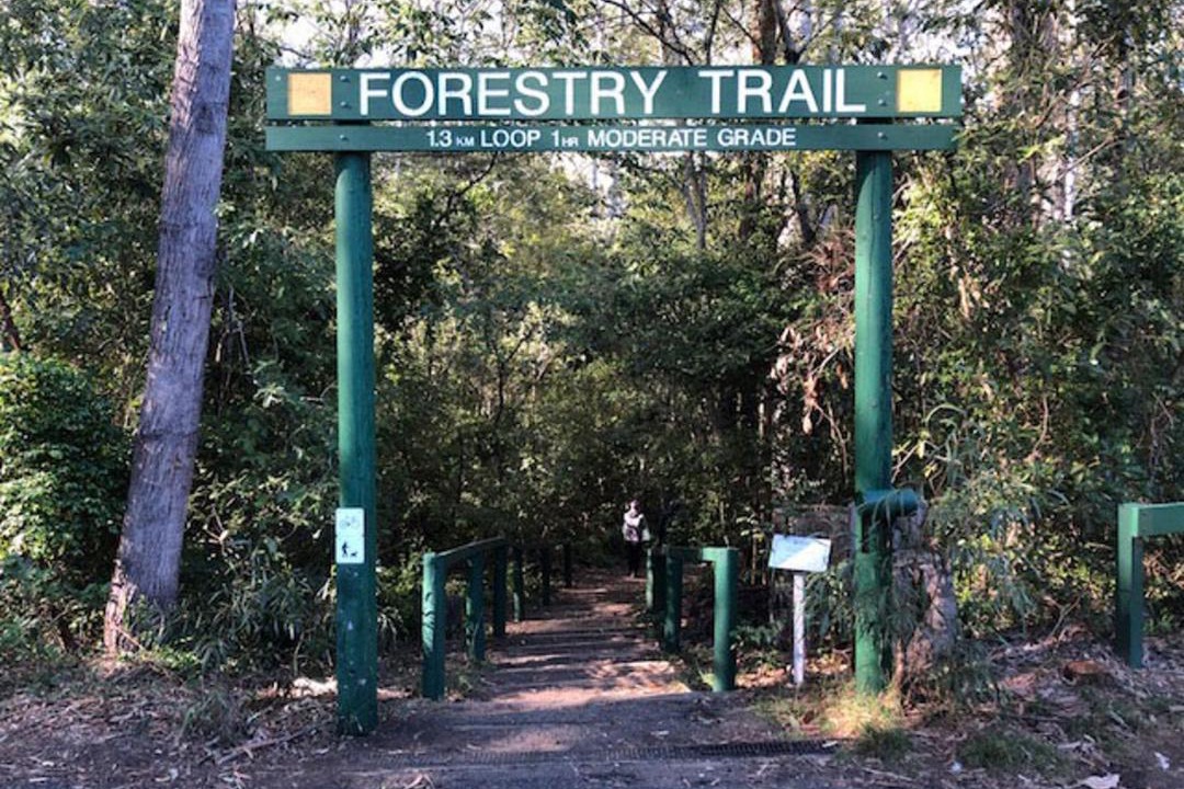 Photo of Others in West Pennant Hills