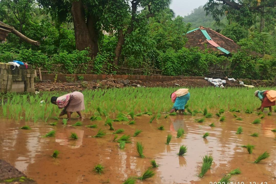 Photo of Others in Harihareshwar
