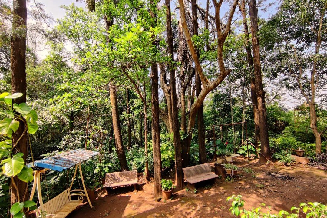 Photo of Others in Panchgani