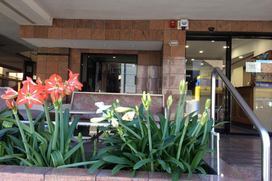 Photo of Others in Edgecliff