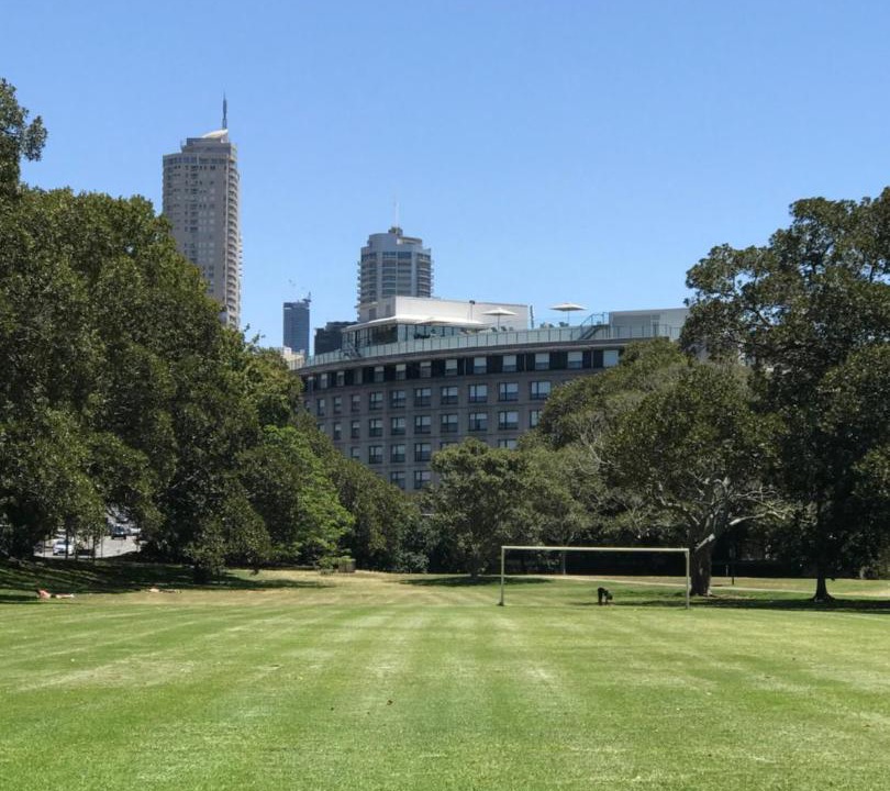 Photo of Others in Edgecliff