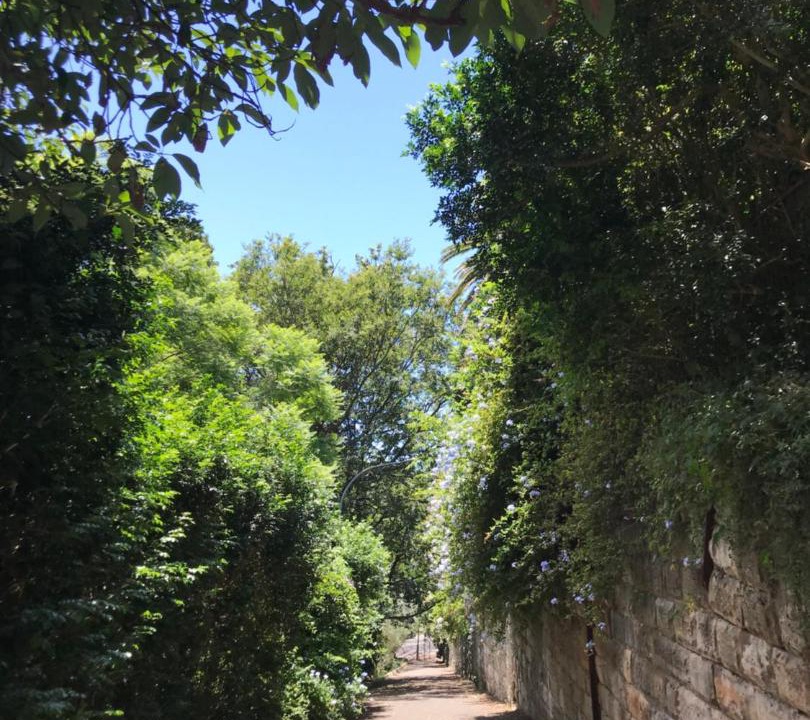 Photo of Others in Edgecliff