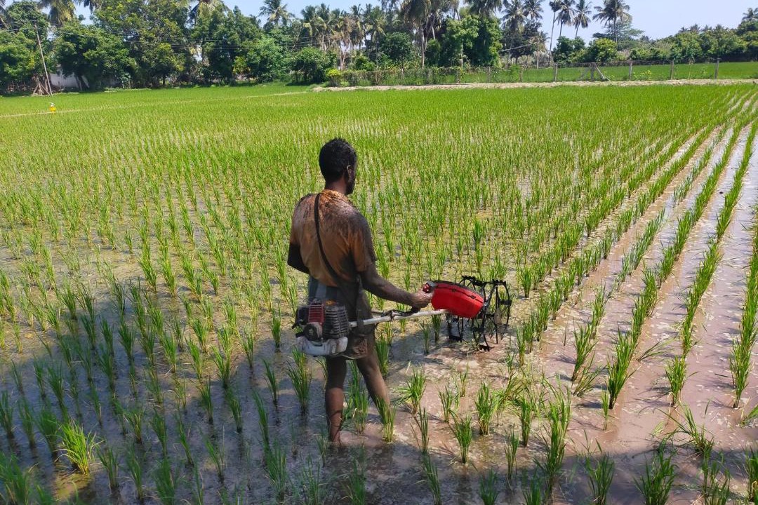 Photo of Others in Chengalpattu
