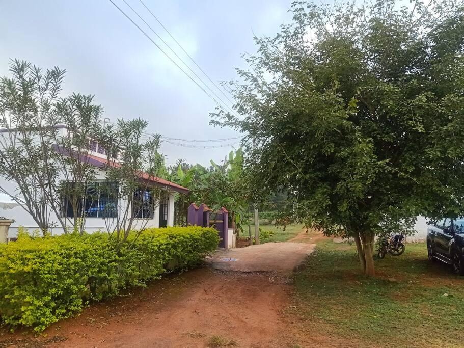 Photo of Others in Yelagiri