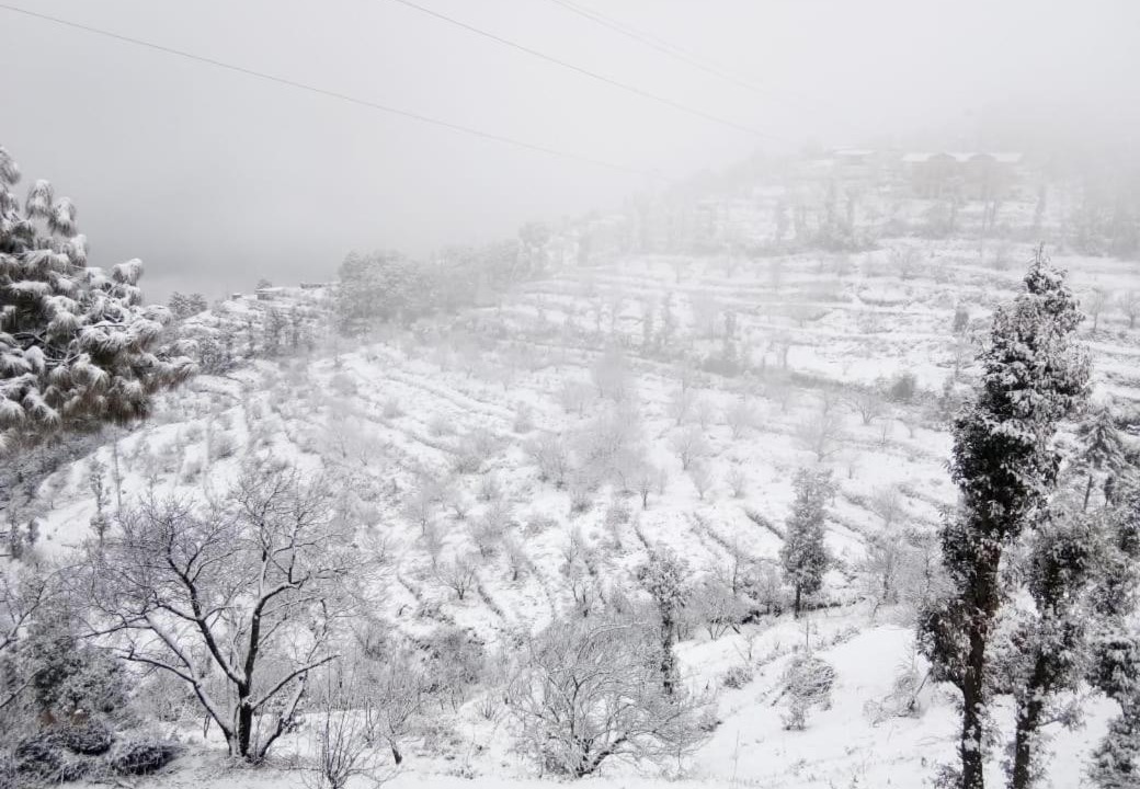 Photo of Others in Tehri