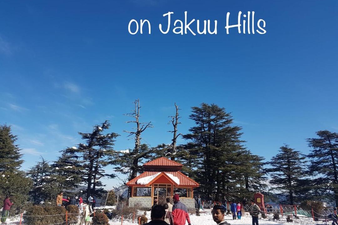 Photo of Others in Shimla