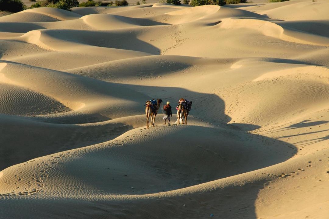 Photo of Others in Jaisalmer
