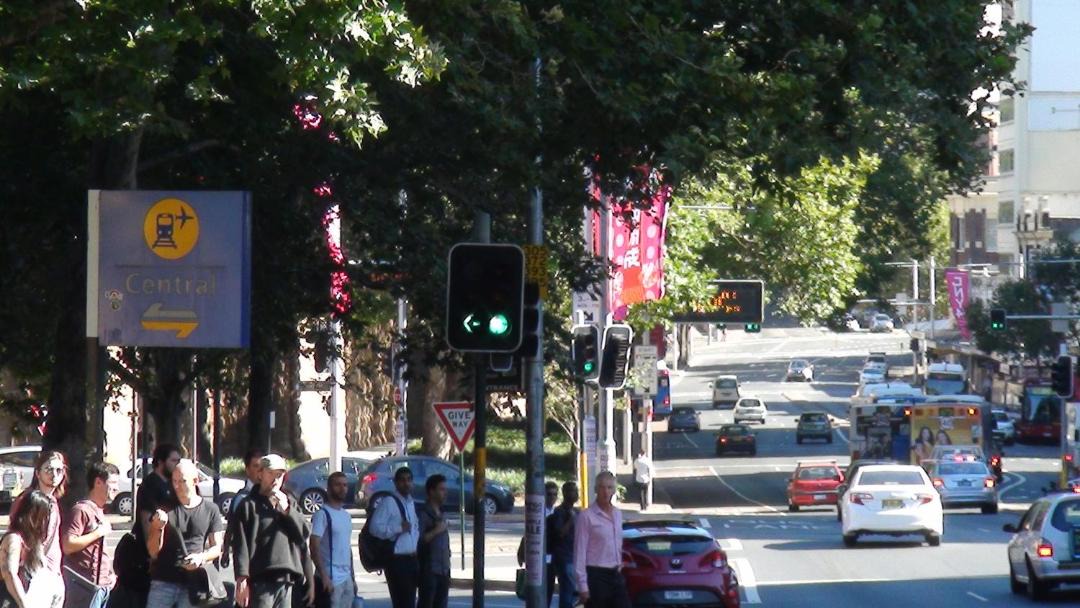 Photo of Others in Surry Hills