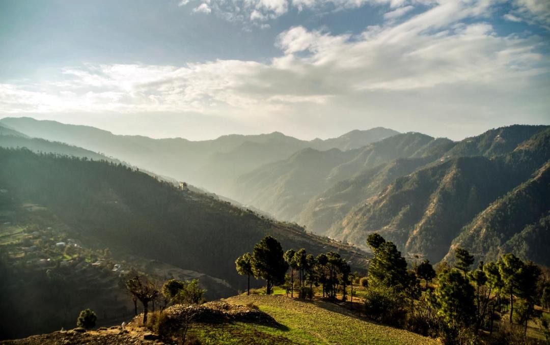 Photo of Others in Shimla