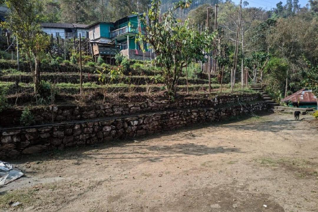 Photo of Others in Ukhimath