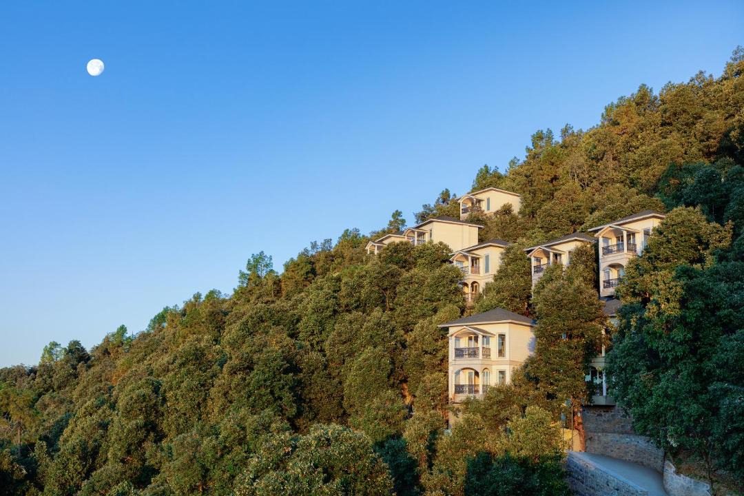 Photo of Others in Shimla