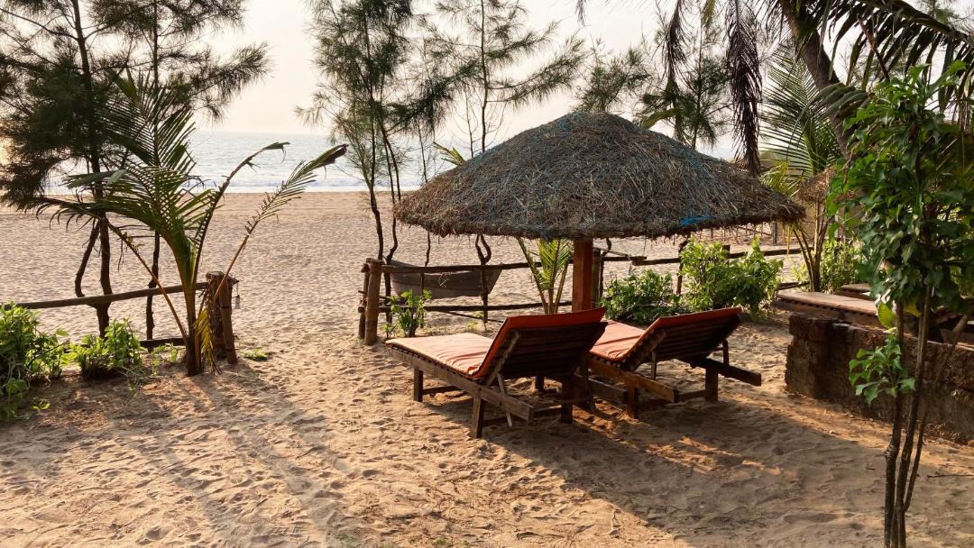 Photo of Others in Agonda