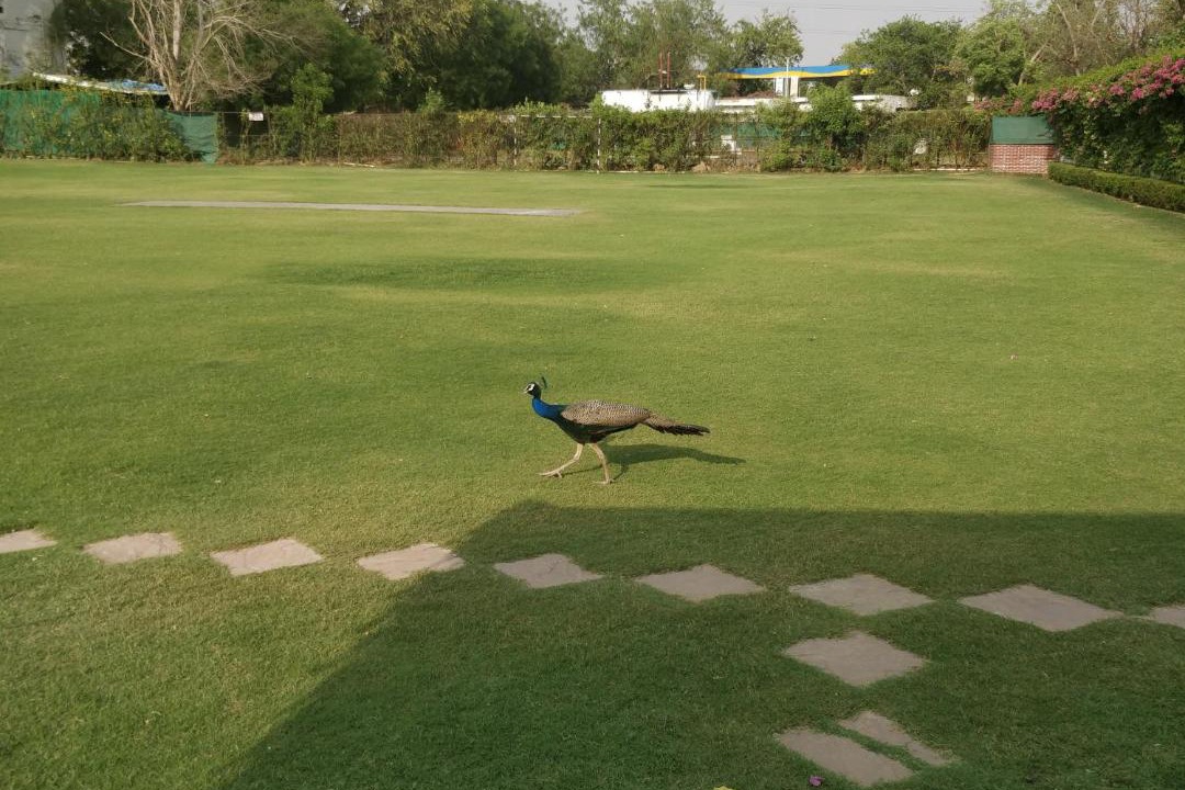 Photo of Others in Taj Ganj