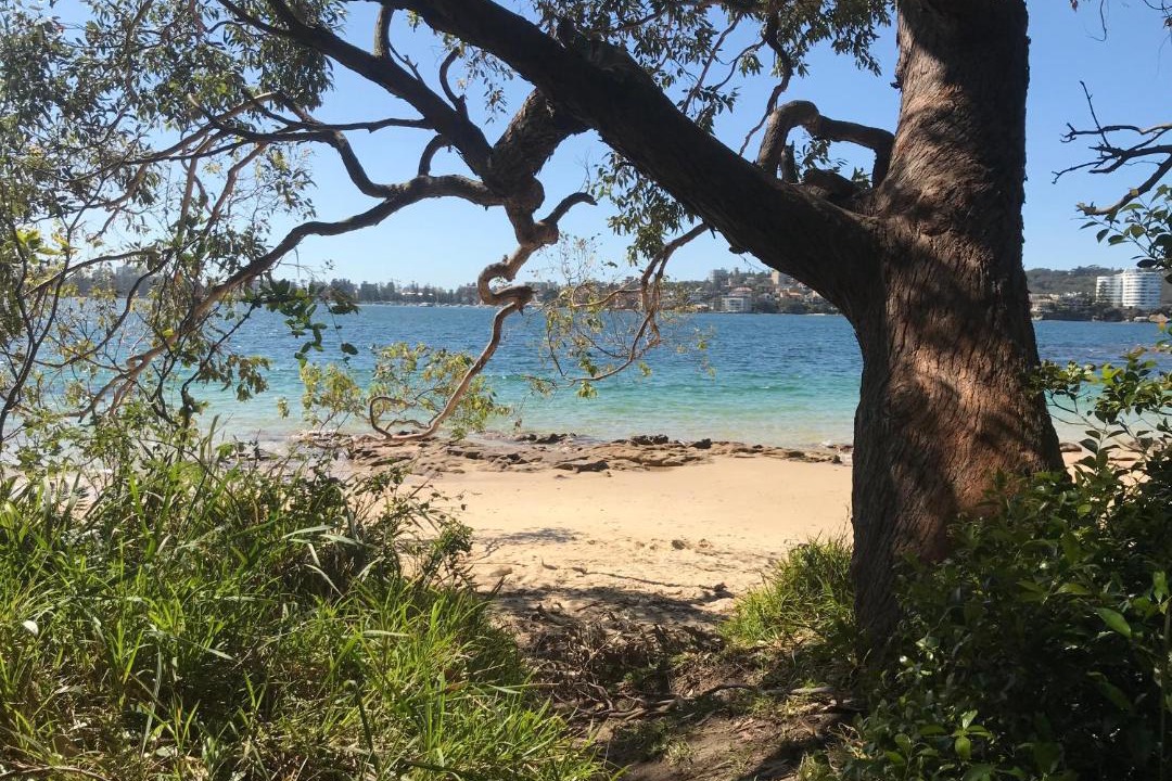 Photo of Outdoor in Queenscliff