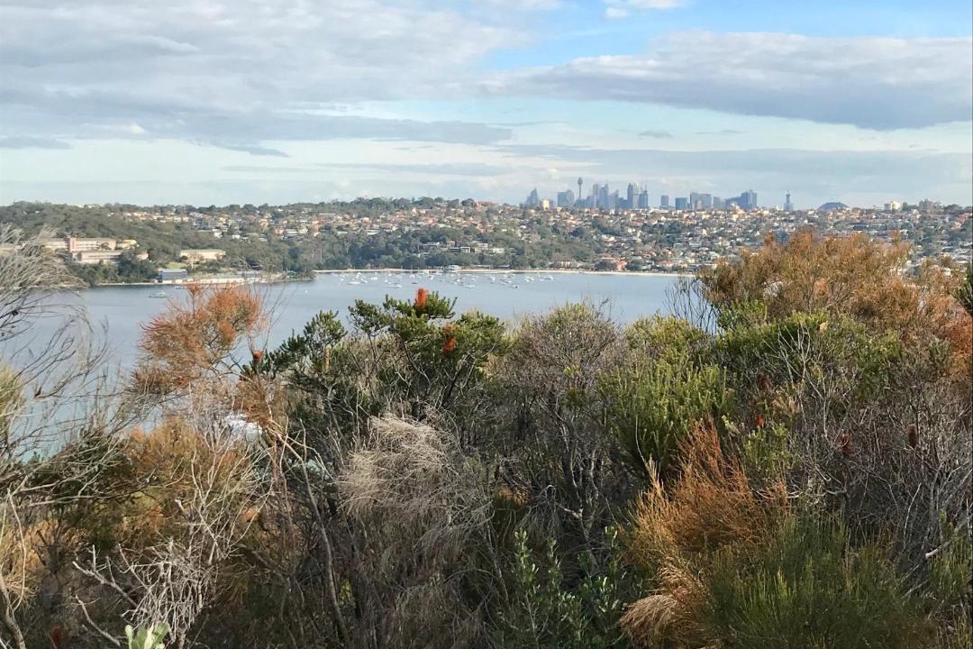 Photo of Outdoor in Queenscliff