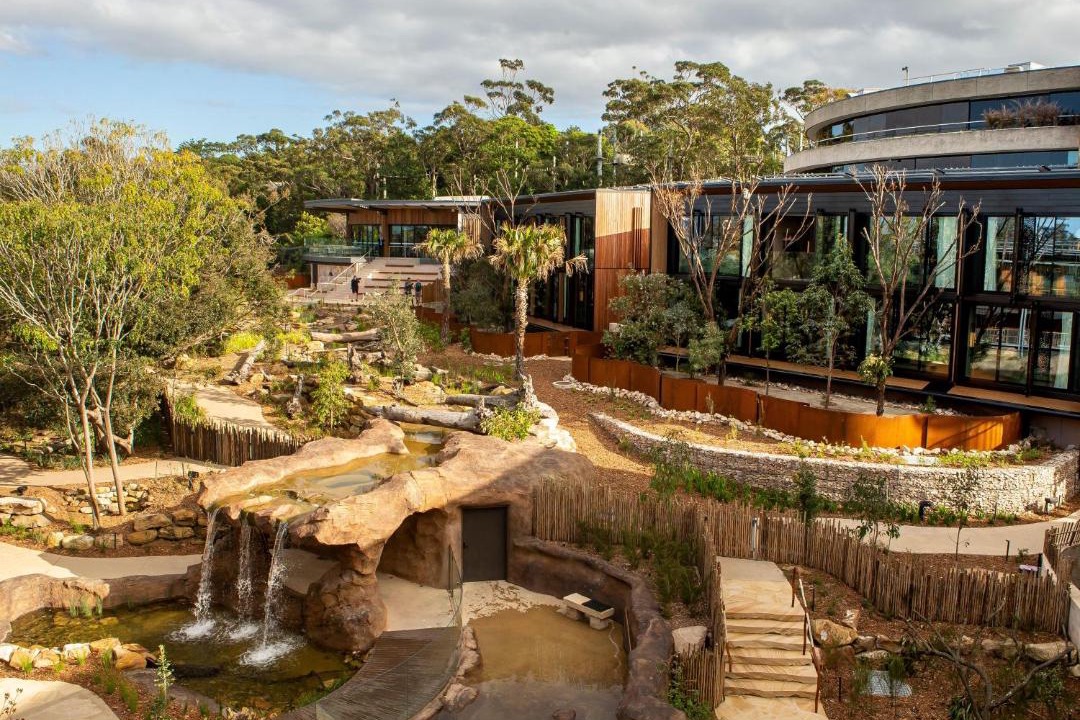 Photo of Others in Mosman