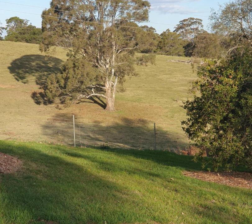Photo of Others in Mowbray Park