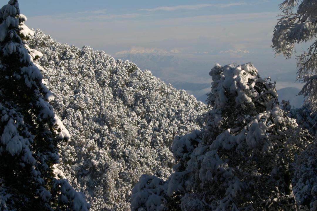 Photo of Others in Naina Range