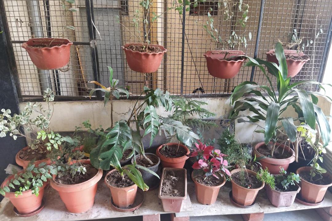 Photo of Others in Vadodara