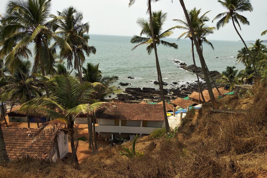 Photo of Others in Arambol