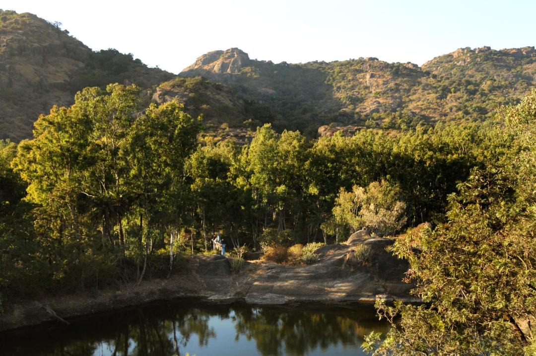 Photo of Others in Mount Abu