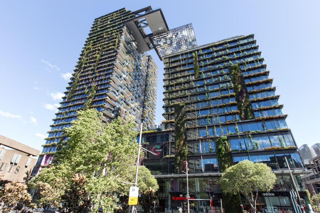 Photo of Buildings in Chippendale