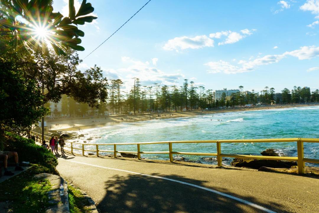Photo of Others in Manly