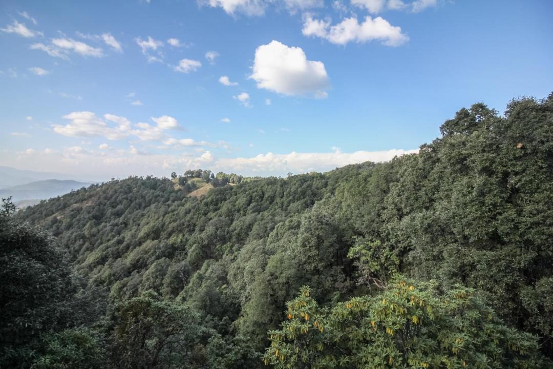 Photo of Others in Binsar