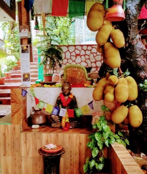 Photo of Others in Tapovan