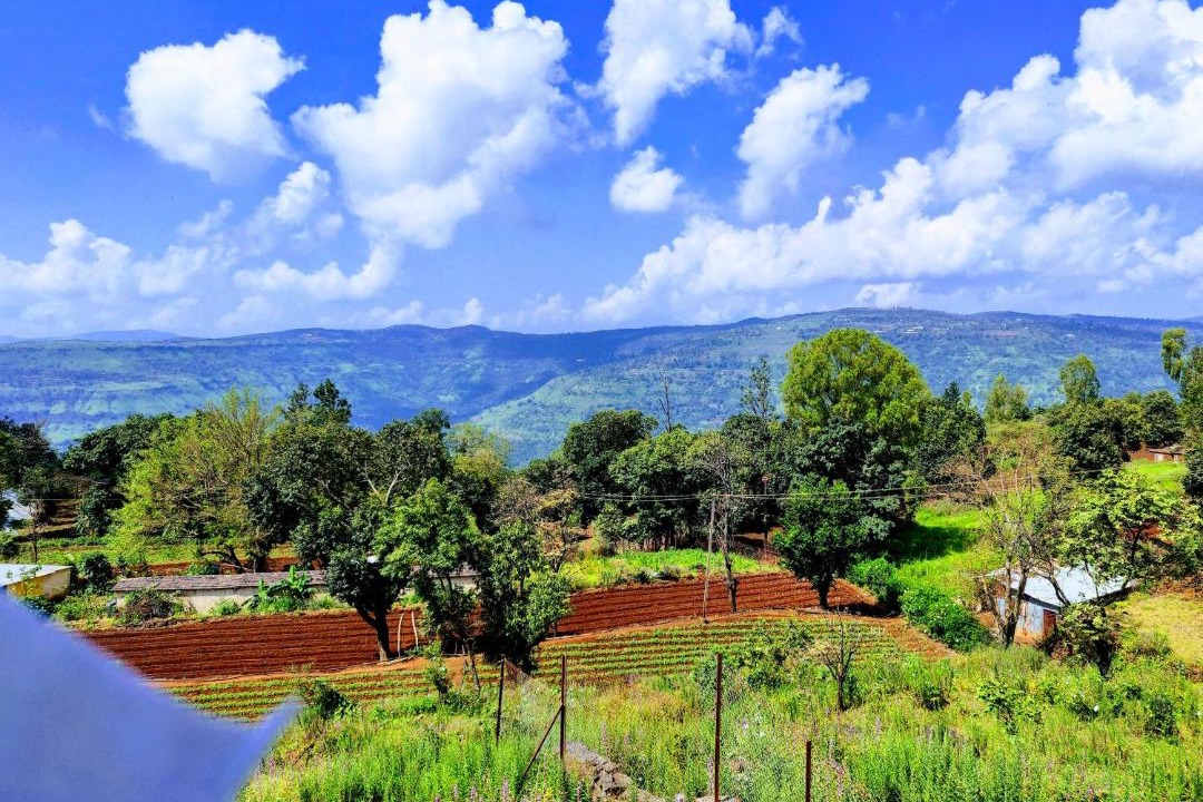Photo of Others in Panchgani