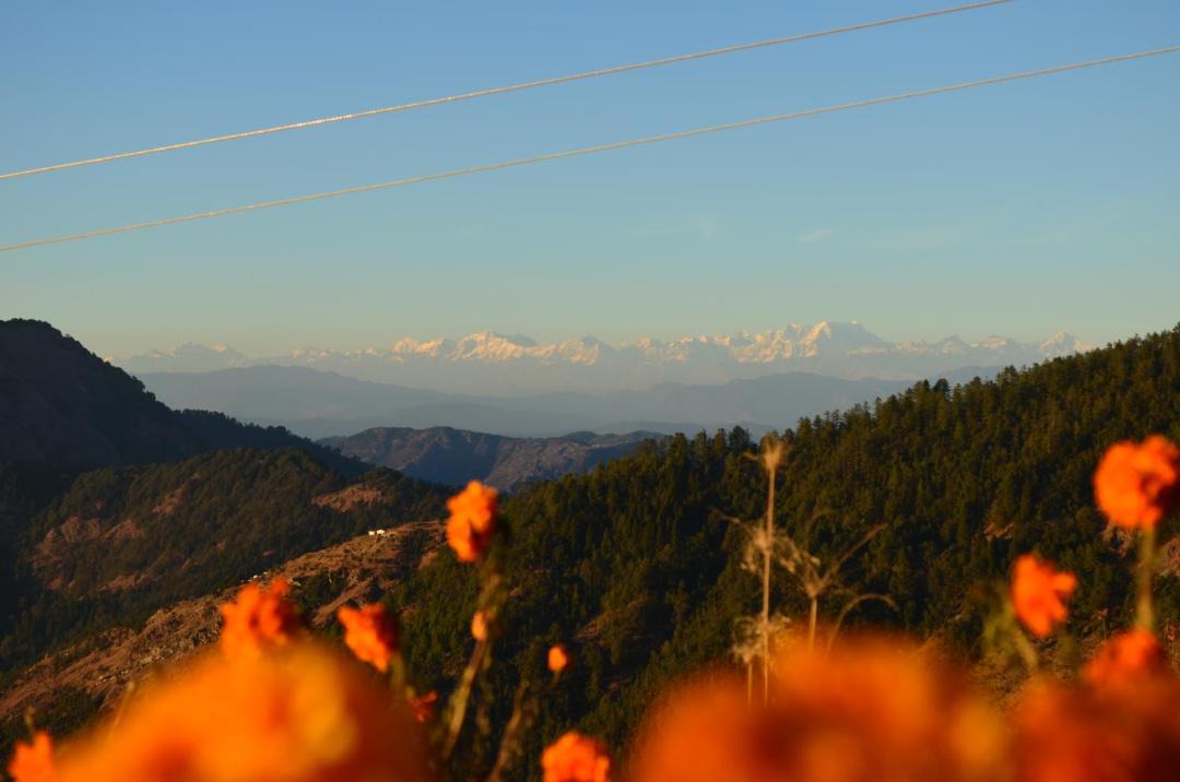 Photo of Others in Naina Range