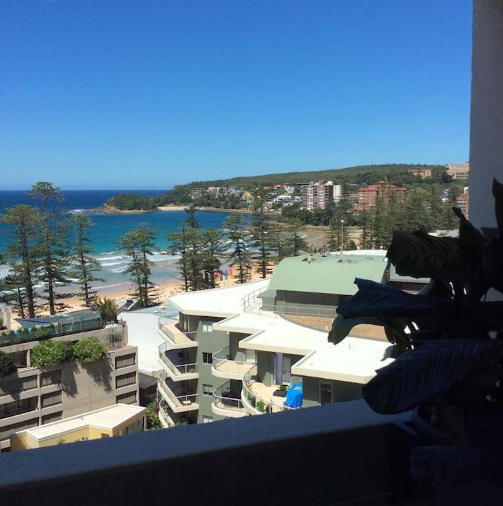 Photo of Others in Manly