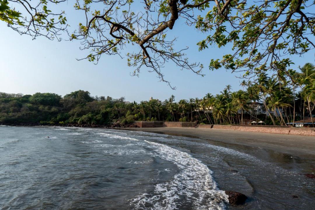 Photo of Others in Dona Paula