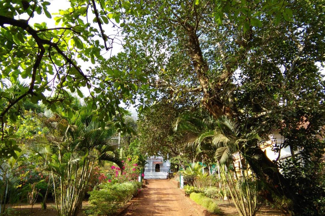 Photo of Others in Assagao