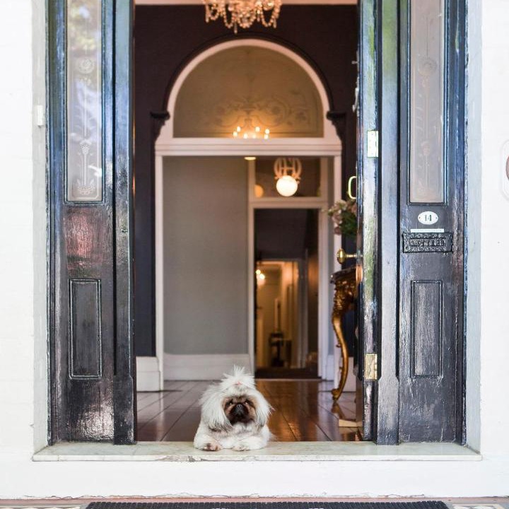 Photo of Others in Woollahra