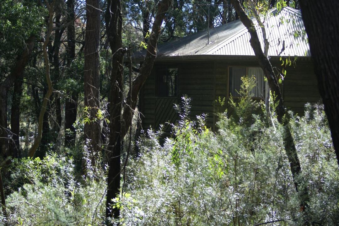 Photo of Others in Fitzroy Falls