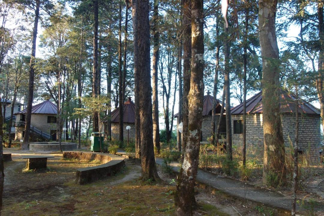 Photo of Others in Almora