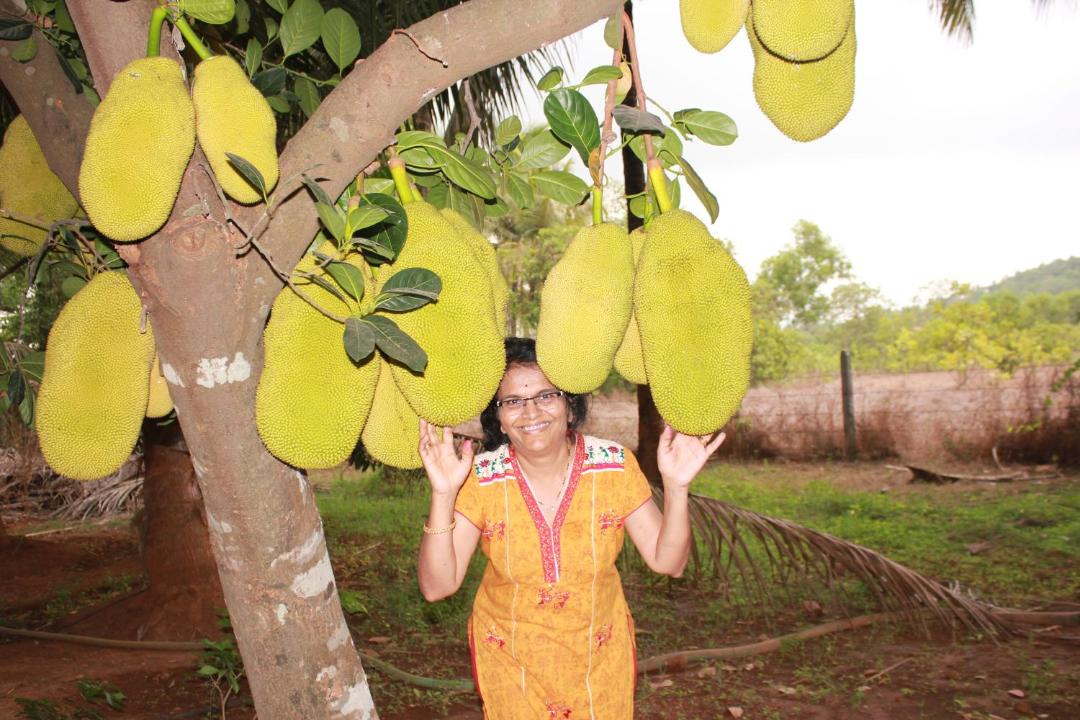 Photo of Others in Kudal