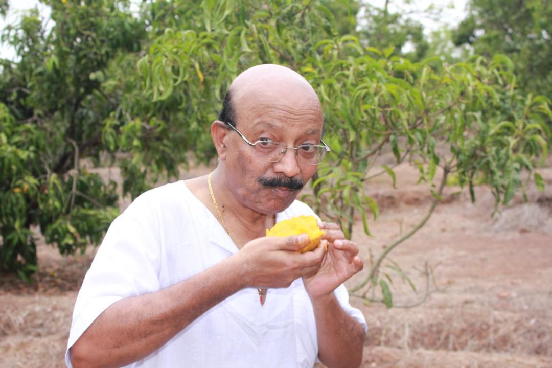 Photo of Others in Kudal