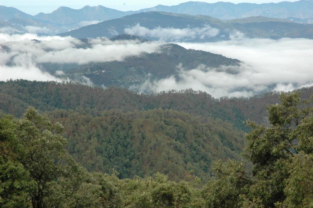 Photo of Others in Binsar