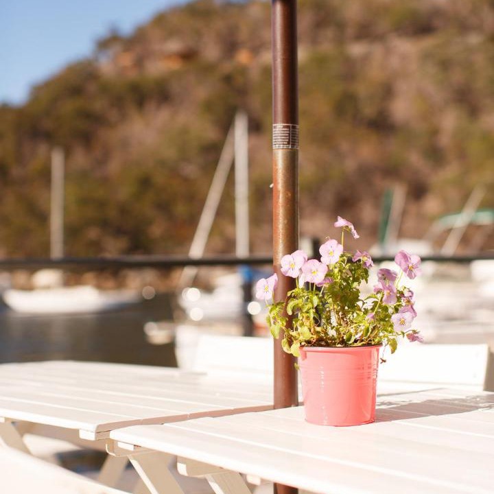 Photo of Patio Balcony in Cottage Point