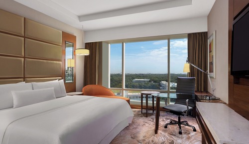 Executive Suite, 1 King Bed